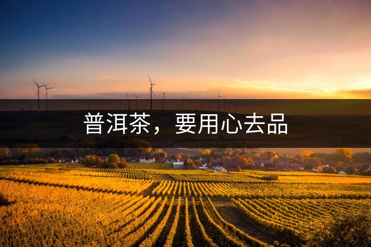 普洱茶，要用心去品