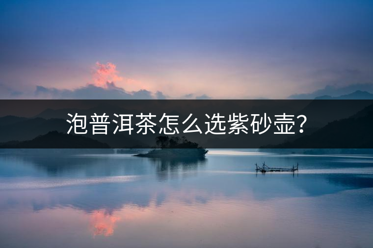 泡普洱茶怎么選紫砂壺？