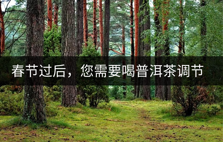 春節(jié)過后，您需要喝普洱茶調(diào)節(jié)身體