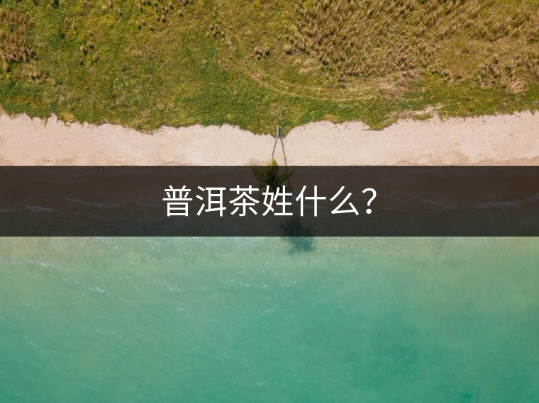 普洱茶姓什么？