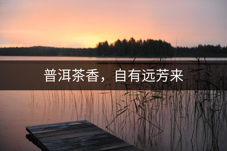 普洱茶香，自有遠(yuǎn)芳來(lái)