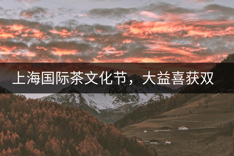 上海國際茶文化節(jié)，大益喜獲雙獎