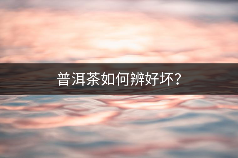 普洱茶如何辨好壞？