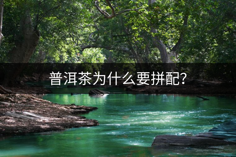 普洱茶為什么要拼配？