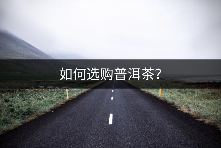 如何選購(gòu)普洱茶？