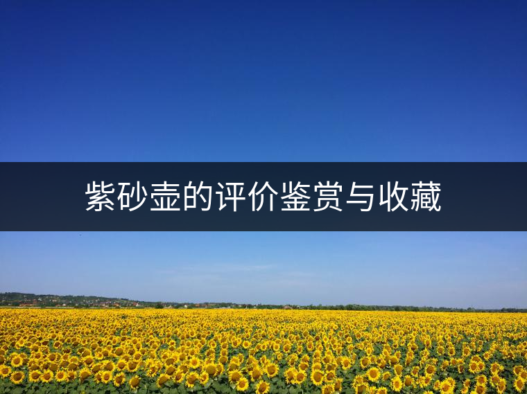 紫砂壺的評(píng)價(jià)鑒賞與收藏