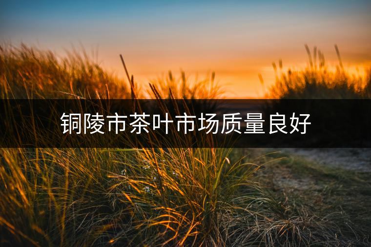 銅陵市茶葉市場質量良好
