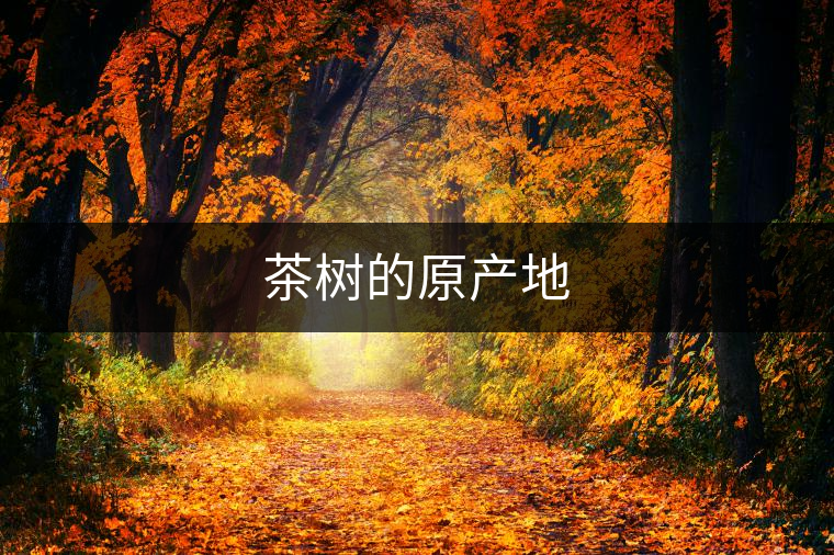 茶樹(shù)的原產(chǎn)地