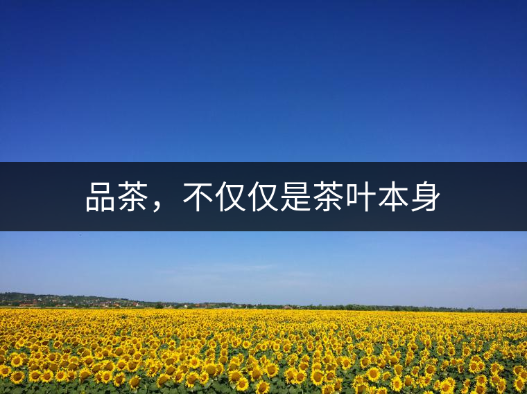 品茶，不僅僅是茶葉本身