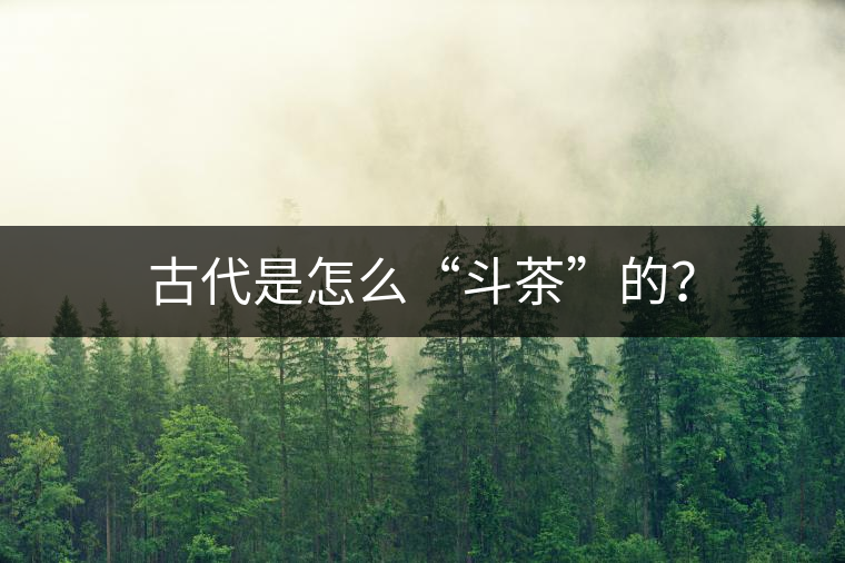 古代是怎么“斗茶”的？