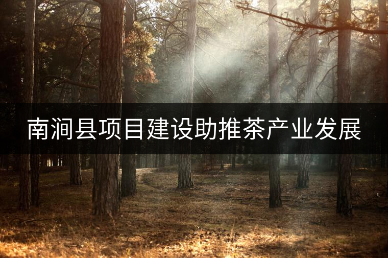 南澗縣項目建設助推茶產(chǎn)業(yè)發(fā)展 南澗縣項目建設助推茶產(chǎn)業(yè)發(fā)展