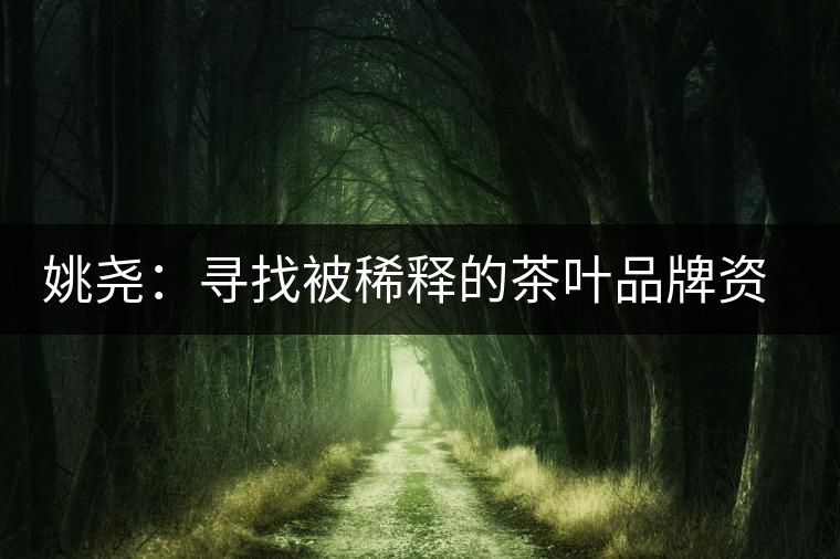 姚堯:尋找被稀釋的茶葉品牌資源 姚堯:尋找被稀釋的茶葉品牌資源