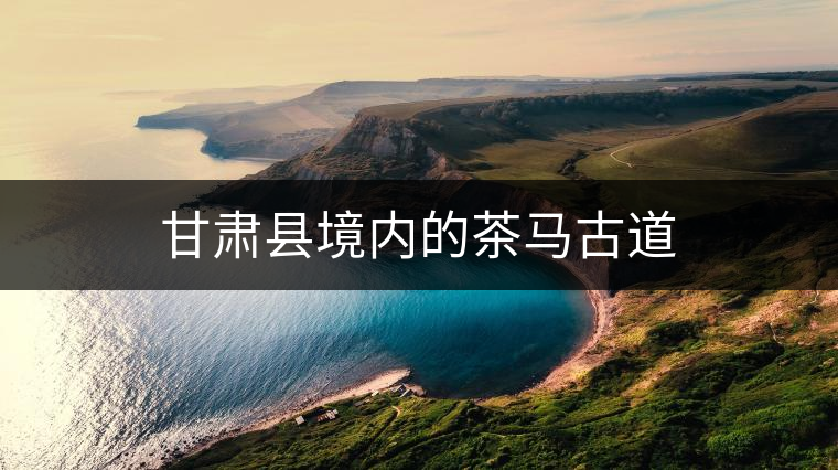 甘肅縣境內的茶馬古道 甘肅縣境內的茶馬古道