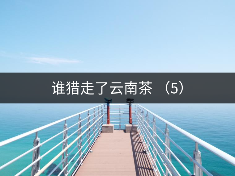 誰獵走了云南茶 (5) 誰獵走了云南茶 (5)