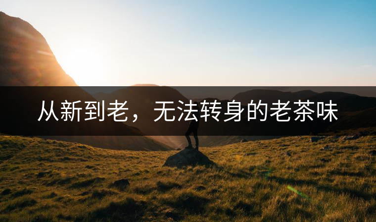 從新到老，無法轉(zhuǎn)身的老茶味