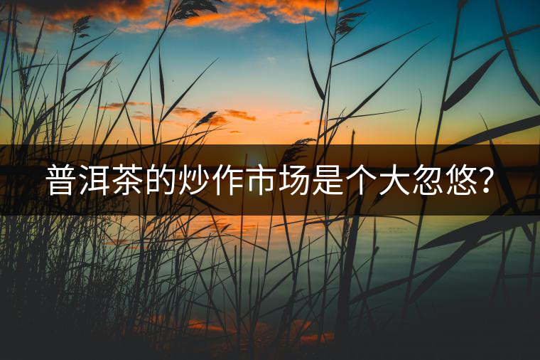 普洱茶的炒作市場(chǎng)是個(gè)大忽悠？