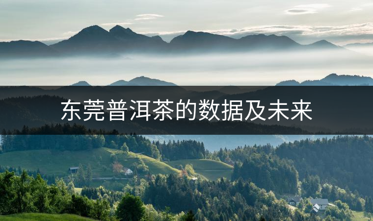 東莞普洱茶的數(shù)據(jù)及未來