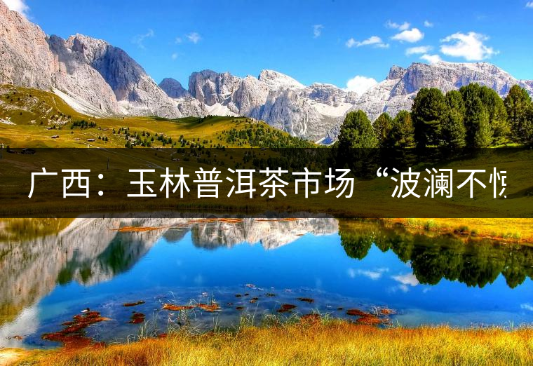 廣西：玉林普洱茶市場(chǎng)“波瀾不驚”