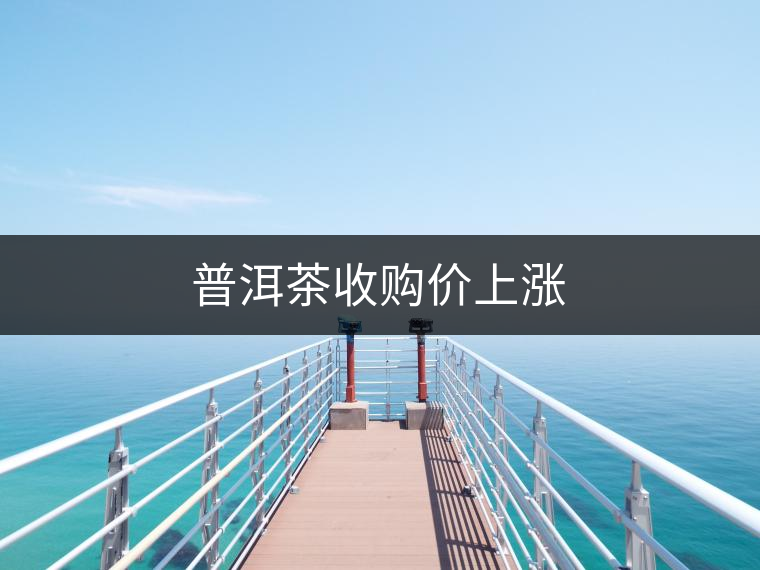 普洱茶收購價(jià)上漲 普洱茶收購價(jià)上漲