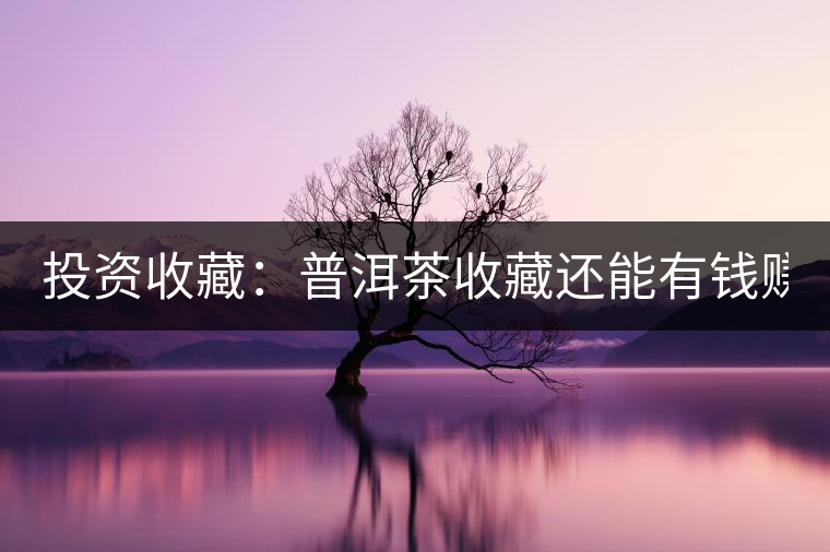 投資收藏：普洱茶收藏還能有錢賺嗎？