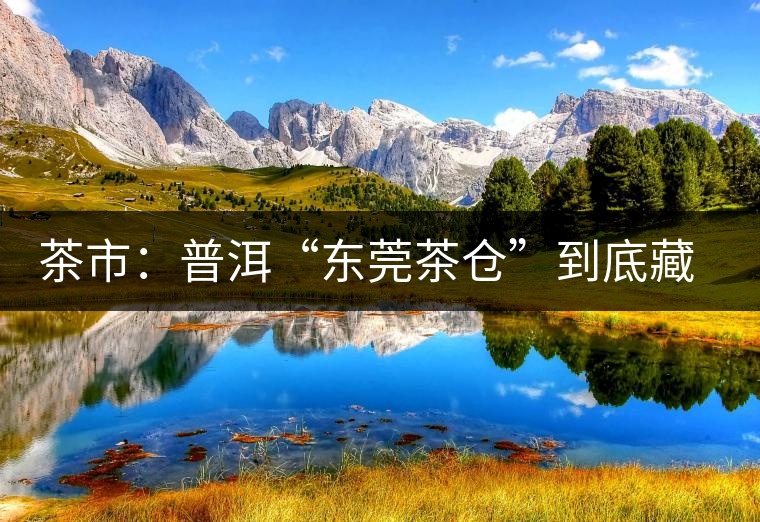 茶市：普洱“東莞茶倉(cāng)”到底藏給誰喝？