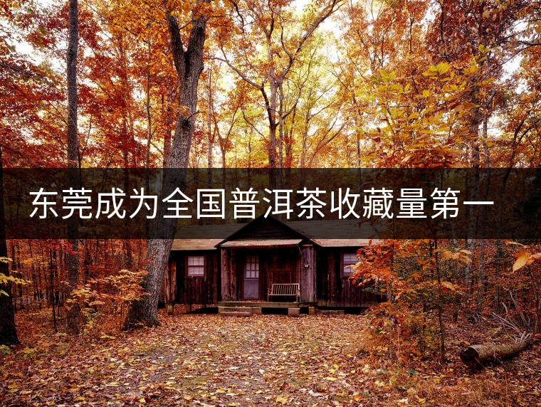 東莞成為全國普洱茶收藏量第一位的城市？