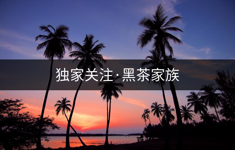 獨家關注·黑茶家族
