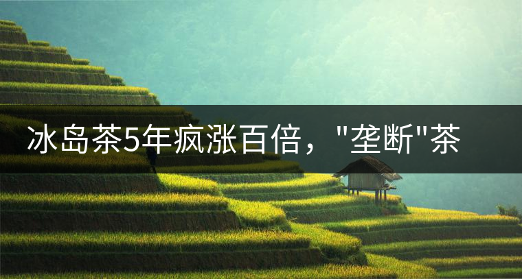 冰島茶5年瘋漲百倍，