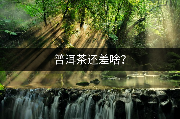 普洱茶還差啥？