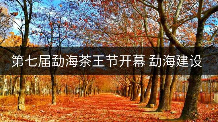 第七屆勐海茶王節(jié)開幕 勐海建設中國普洱茶第一縣