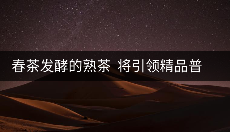春茶發(fā)酵的熟茶  將引領(lǐng)精品普洱茶消費(fèi)市場的潮流
