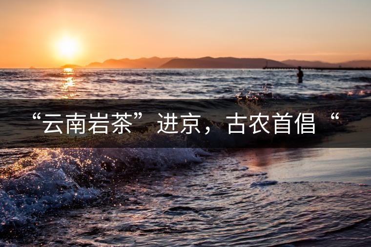 “云南巖茶”進(jìn)京，古農(nóng)首倡“名茶+名企”戰(zhàn)略