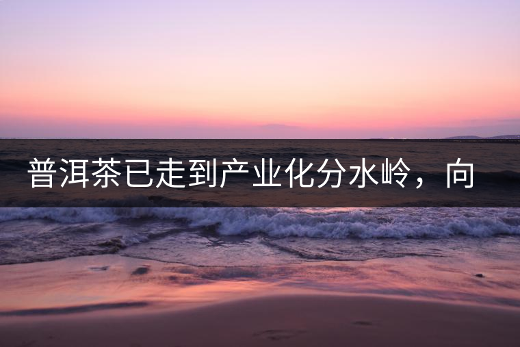 普洱茶已走到產(chǎn)業(yè)化分水嶺，向左還是向右？