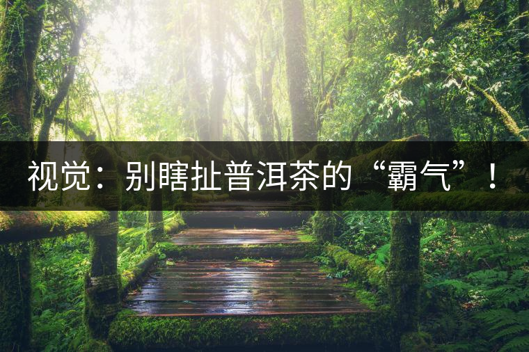 視覺：別瞎扯普洱茶的“霸氣”！偽大師！