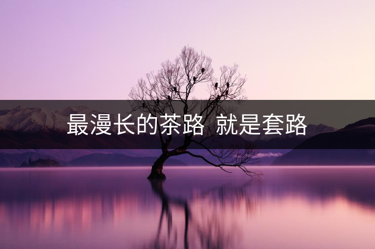 最漫長(zhǎng)的茶路  就是套路