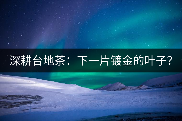 深耕臺(tái)地茶：下一片鍍金的葉子？