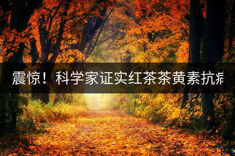 震驚！科學(xué)家證實(shí)紅茶茶黃素抗病毒新功能！