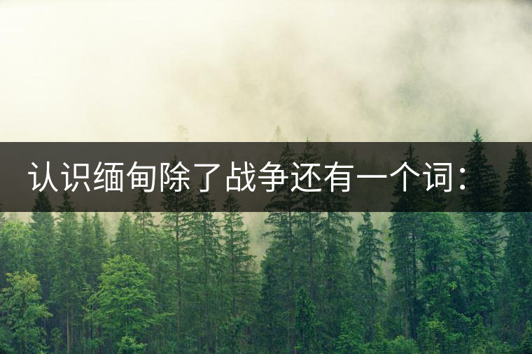 認識緬甸除了戰(zhàn)爭還有一個詞：茶