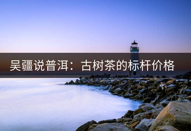 吳疆說普洱：古樹茶的標(biāo)桿價(jià)格在哪里？