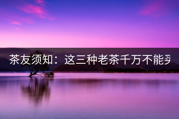 茶友須知：這三種老茶千萬不能買！