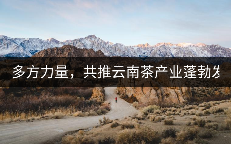 多方力量，共推云南茶產(chǎn)業(yè)蓬勃發(fā)展！