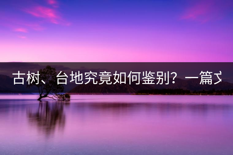 古樹(shù)、臺(tái)地究竟如何鑒別？一篇文章說(shuō)透！