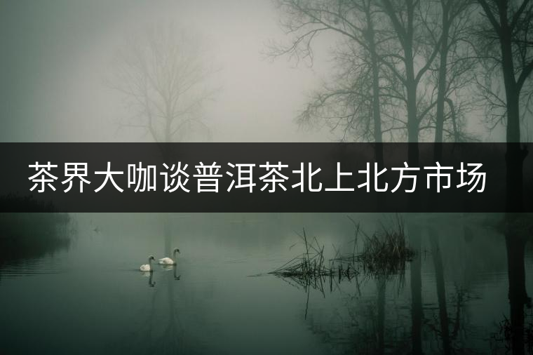 茶界大咖談普洱茶北上北方市場(chǎng)的潛力及突破口