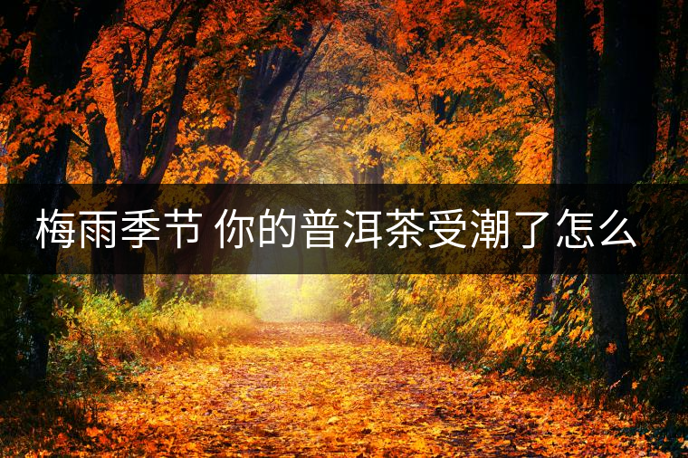 梅雨季節(jié) 你的普洱茶受潮了怎么辦？