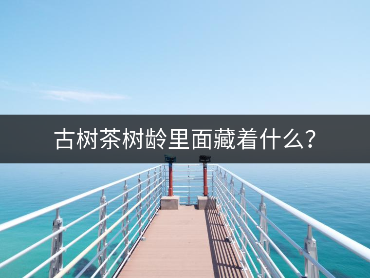 古樹茶樹齡里面藏著什么？