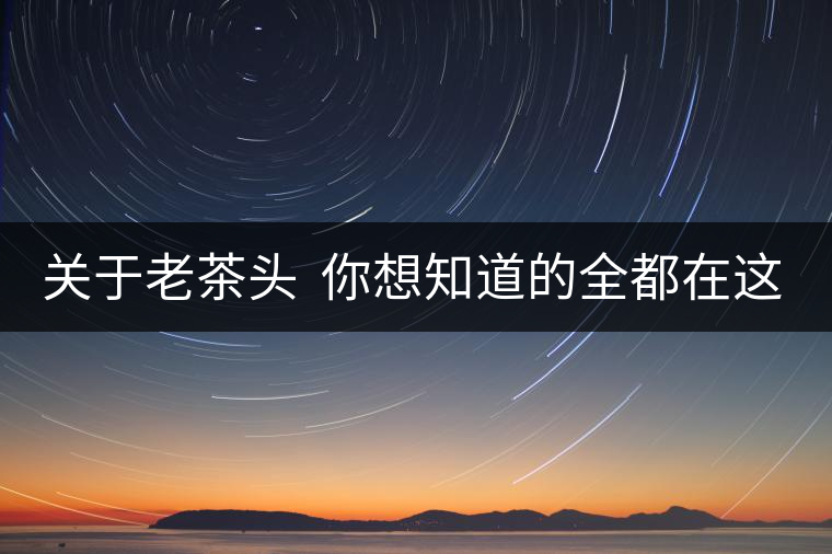 關(guān)于老茶頭  你想知道的全都在這兒啦！