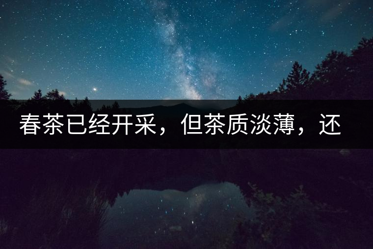 春茶已經(jīng)開采，但茶質(zhì)淡薄，還需一兩周