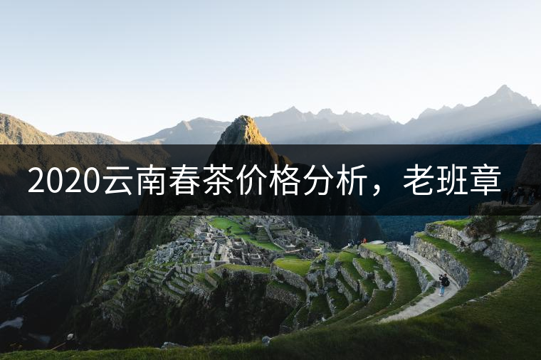 2020云南春茶價格分析，老班章依然將獨占鰲頭？