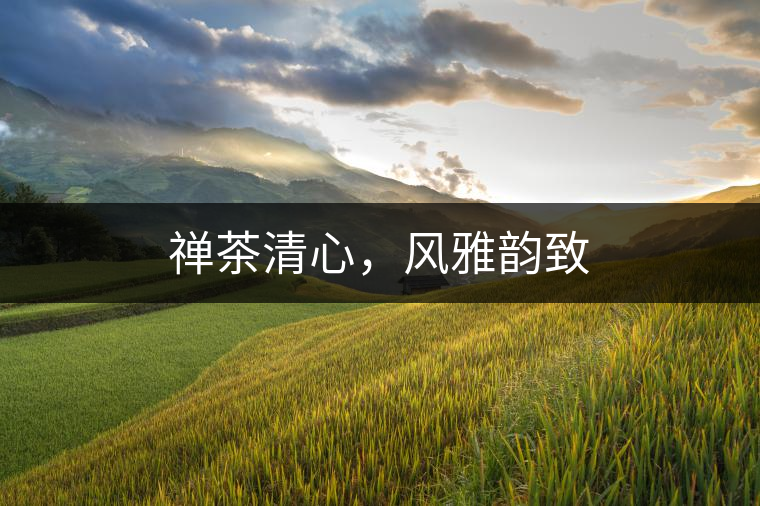 禪茶清心，風雅韻致