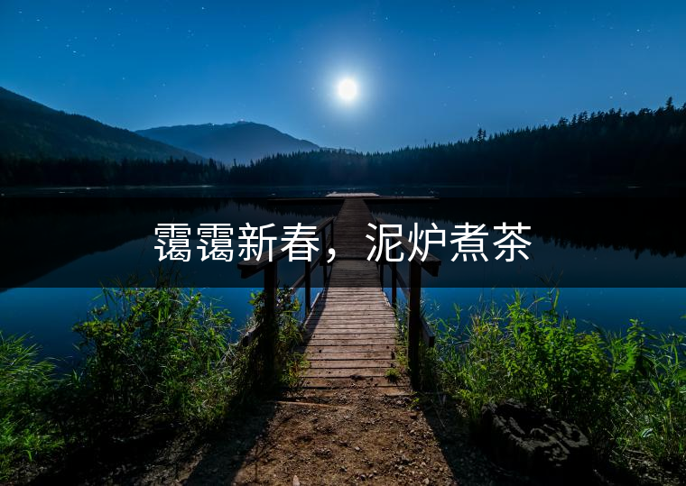 靄靄新春，泥爐煮茶